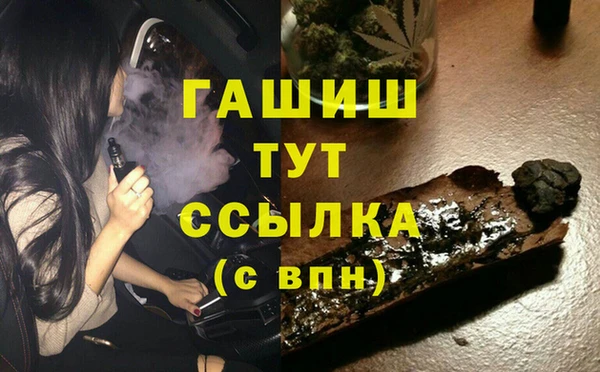 apvp Гусев