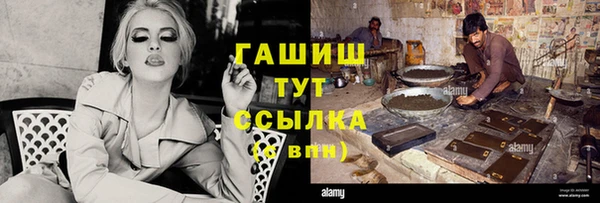 apvp Гусев