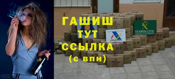 apvp Гусев
